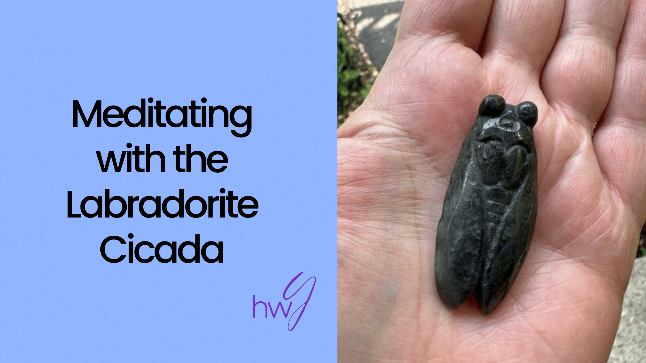 Meditating with a labradorite cicada 